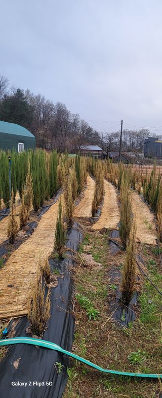 최금규님의 자유주제 · 자유게시판 작성글 사진