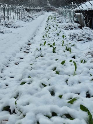 심재연님의 자유주제 · 자유게시판 작성글 사진