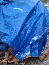 팜모닝 자유주제·자유게시판 게시글 이미지