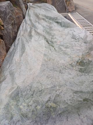 삼성농산님의 자유주제 · 자유게시판 작성글 사진