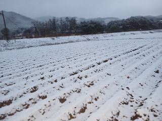 콩나라최여순님의 자유주제 · 자유게시판 작성글 사진