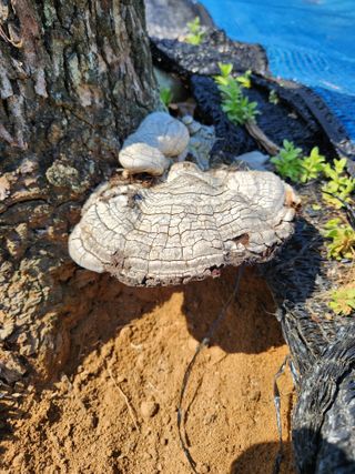 김영옥님의 자유주제 · 자유게시판 작성글 사진