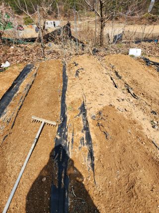 김영옥님의 자유주제 · 자유게시판 작성글 사진