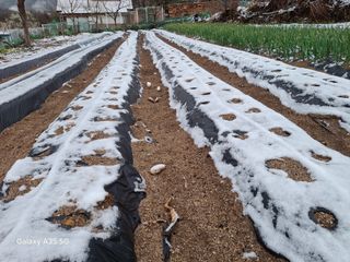 권순익님의 자유주제 · 자유게시판 작성글 사진