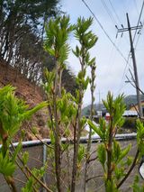 팜모닝 자유주제·자유게시판 게시글 이미지