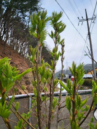 라이프님의 자유주제 · 자유게시판 작성글 사진
