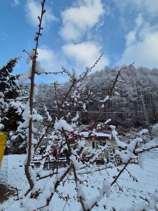 심재연님의 자유주제 · 자유게시판 작성글 사진