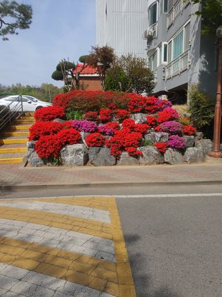 김영복님의 자유주제 · 자유게시판 작성글 사진