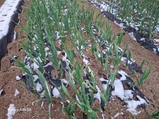 권순익님의 자유주제 · 자유게시판 작성글 사진