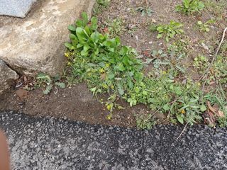 알 수 없음님의 자유주제 · 자유게시판 작성글 사진