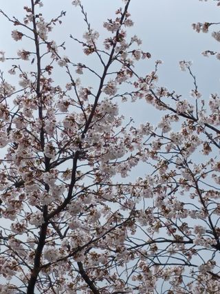 알 수 없음님의 자유주제 · 자유게시판 작성글 사진