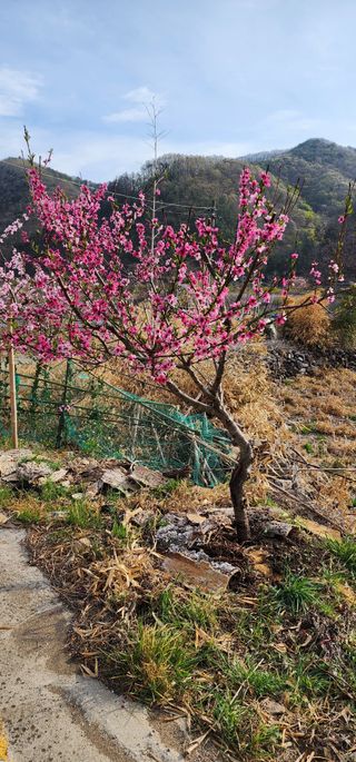 안뜰그랑님의 자유주제 · 자유게시판 작성글 사진