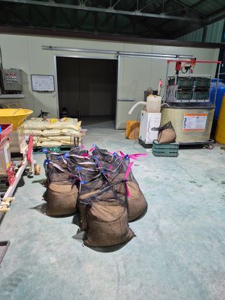 푸른농원님의 자유주제 · 자유게시판 작성글 사진