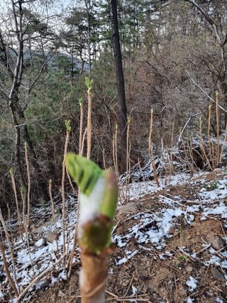 팜모닝회원 정정섭 님의 일손 구하셨나요? · 참여글 작성글 사진