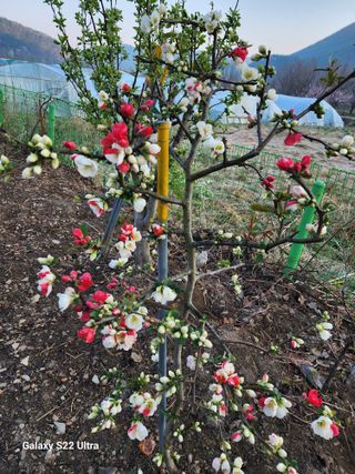 노문우님의 자유주제 · 자유게시판 작성글 사진
