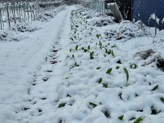 심재연님의 자유주제 · 자유게시판 작성글 사진