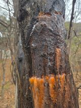 팜모닝 자유주제·자유게시판 게시글 이미지