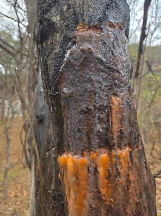 아쌰야로~님의 자유주제 · 자유게시판 작성글 사진