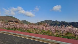 MSG0074님의 자유주제 · 자유게시판 작성글 사진