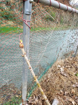 라이프님의 자유주제 · 자유게시판 작성글 사진