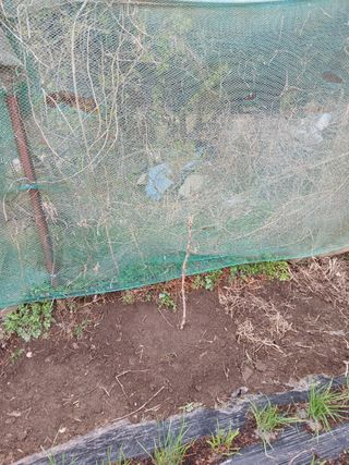 이세순님의 자유주제 · 자유게시판 작성글 사진