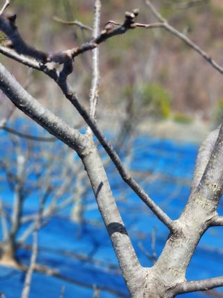 김영옥님의 자유주제 · 자유게시판 작성글 사진