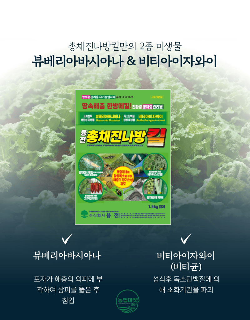 농업마켓365님의 장터 판매 상품 [농업마켓365 융전 총채진나방킬 1.5kg 유기농업자재 병해충관리용 총채벌레 나방벌레 진딧물 살충 뷰베리아 바시아나] 첨부 사진