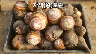 김주삼님의 자유주제 · 자유게시판 작성글 사진