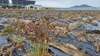 약초다지님의 자유주제 · 자유게시판 작성글 사진