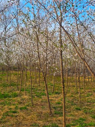 곽노미님의 자유주제 · 자유게시판 작성글 사진
