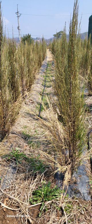 최금규님의 자유주제 · 자유게시판 작성글 사진