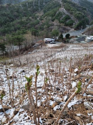 팜모닝회원 정정섭 님의 일손 구하셨나요? · 참여글 작성글 사진