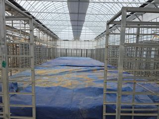 정정호님의 자유주제 · 자유게시판 작성글 사진