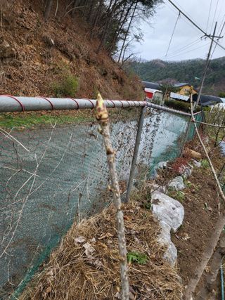 라이프님의 자유주제 · 자유게시판 작성글 사진