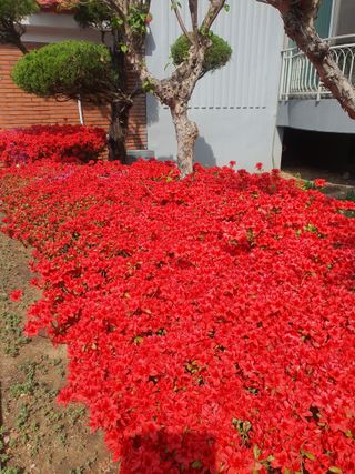 김영복님의 자유주제 · 자유게시판 작성글 사진