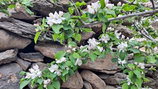 MSG0074님의 자유주제 · 자유게시판 작성글 사진