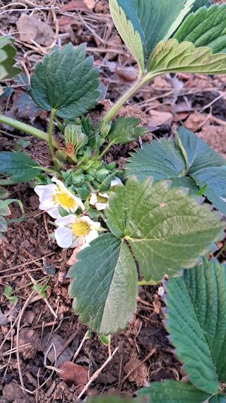 bpjh9173님의 자유주제 · 자유게시판 작성글 사진