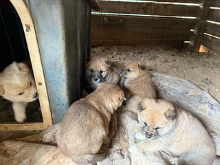 최재원 님의 자유주제 · 자유게시판 작성글 사진