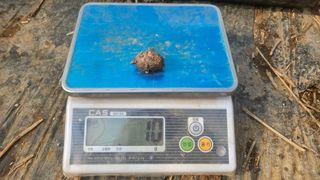 김주삼님의 자유주제 · 자유게시판 작성글 사진