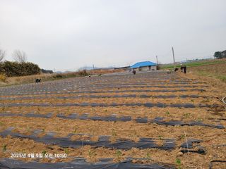 이동훈님의 자유주제 · 자유게시판 작성글 사진
