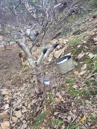 김용대님의 기타작물 · 자유게시판 작성글 사진