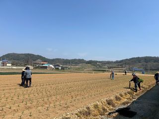 국중선님의 자유주제 · 자유게시판 작성글 사진