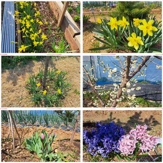 온시디움님의 자유주제 · 자유게시판 작성글 사진