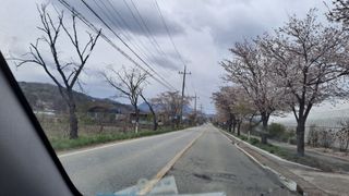 MSG0074님의 자유주제 · 자유게시판 작성글 사진