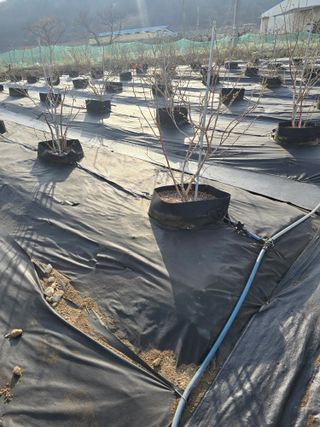 김유숙님의 일손 구하셨나요? · 참여글 작성글 사진