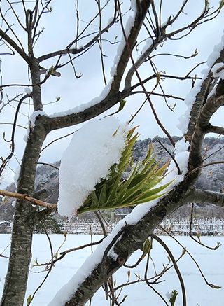 고추건조기부품판매님의 자유주제 · 자유게시판 작성글 사진