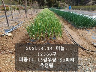 박성민님의 자유주제 · 자유게시판 작성글 사진