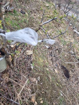 김용대님의 기타작물 · 자유게시판 작성글 사진