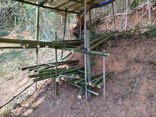 이현상홍길동건강즙님의 자유주제 · 자유게시판 작성글 사진