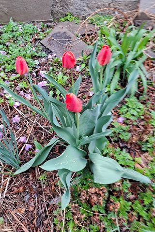 MSG0074님의 자유주제 · 자유게시판 작성글 사진